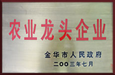 龙头企业 龙头企业