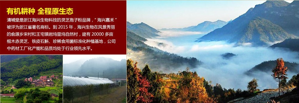 零污染纯天然2000亩野生灵芝种植基地 零污染纯天然2000亩野生灵芝种植基地