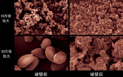 超低温物理破壁技术 超低温物理破壁技术