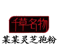 保健品公司网站模板建站